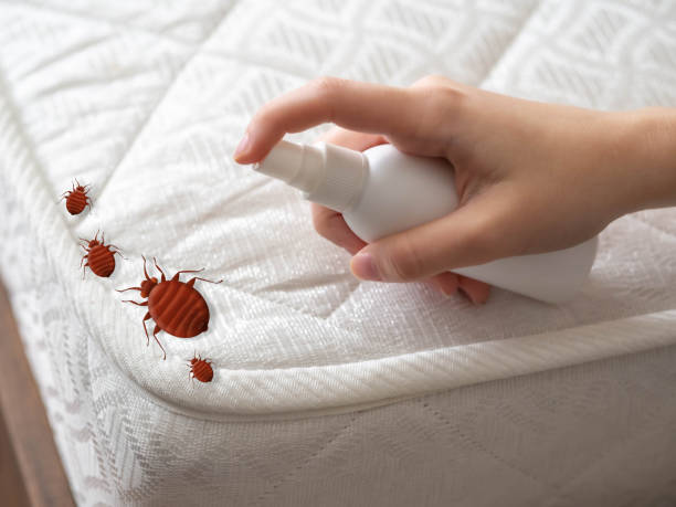 Best Real Estate Pest Inspections  in Seaman, OH